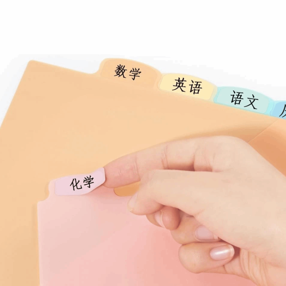A4 파스텔 바인더 디바이더 8개, 3링 바인더 싱글  - Tab Divider A4 리뷰 및 가격